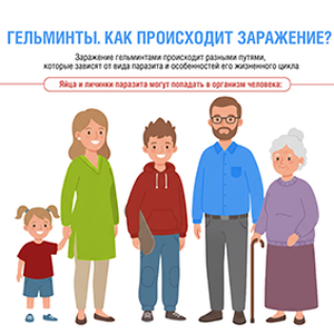 Гельминты. Как происходит заражение.